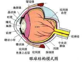關于眼鏡銷售技巧