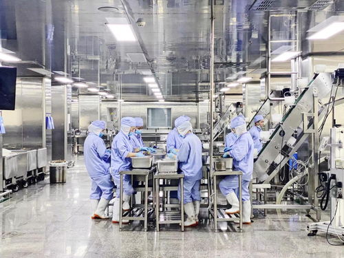 聚焦高質量發展丨浙江溫州甌海 企業加碼研發 掀起生產熱潮